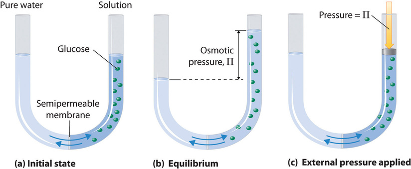 osmotic pressure