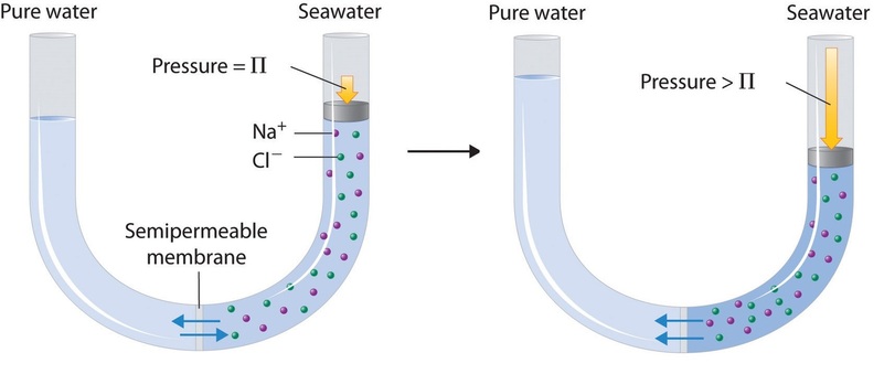 reverse osmosis